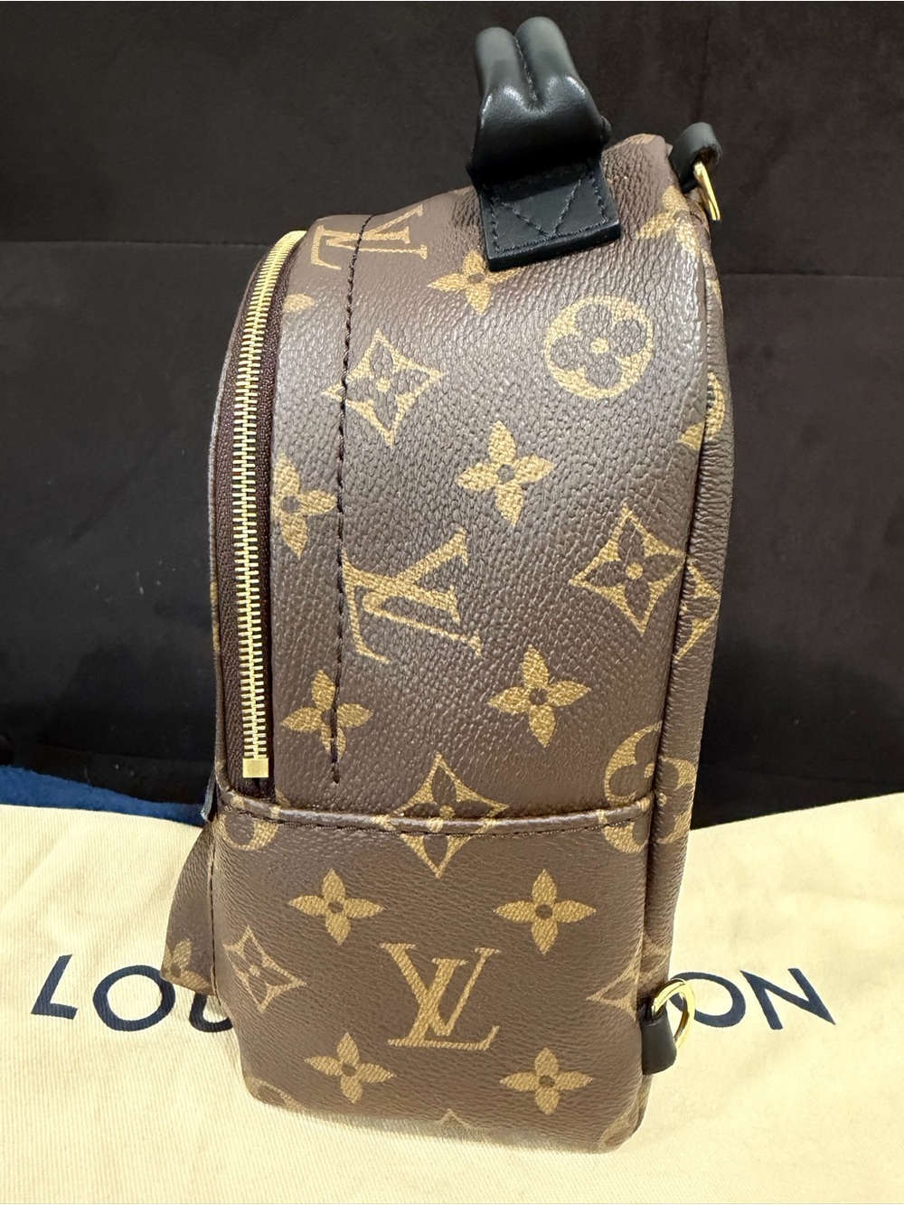 Louis Vuitton Palm Springs Mini Monogram - Picture 6 of 14